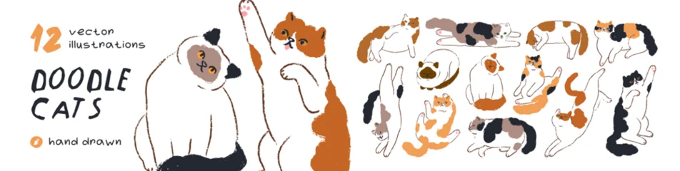 Fotobehang Kasteel Doodle cats, cute vector animals, pets set. Cute cat characters, doodle line art drawings. Funny kitties pets, happy kittens sitting, sleeping, stretching and lying. Flat vector illustrations  © Good Studio