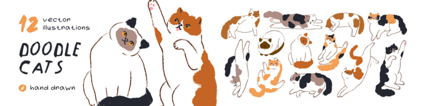 Doodle cats, cute vector animals, pets set. Cute cat characters, doodle line art drawings. Funny kitties pets, happy kittens sitting, sleeping, stretching and lying. Flat vector illustrations