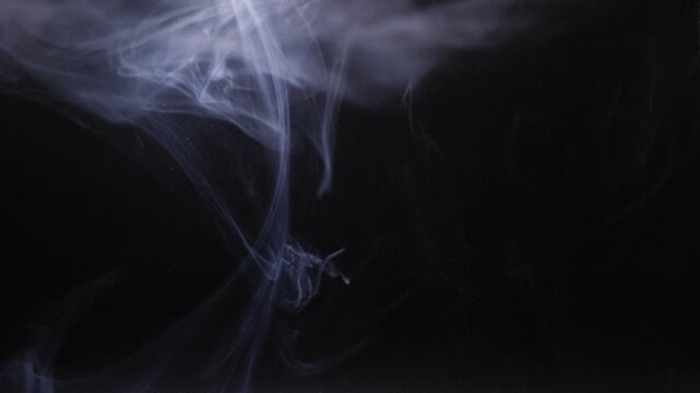 Grey swirls of smoke on black background close up 4k shot selective focus