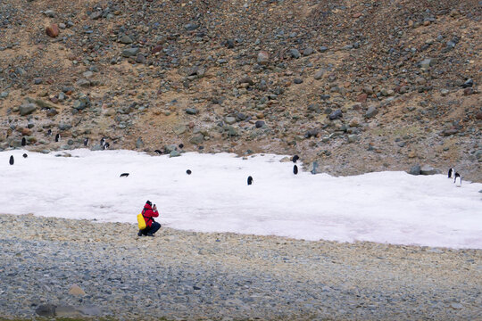 Antarctica, after crossing the Antarctic circle line, on Pourquoi Pas Island, a person is taking a photo from the penguins. In the background the enormous glacier.