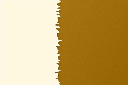 Vertical torn paper edge with jagged lines on warm brown textured surface.