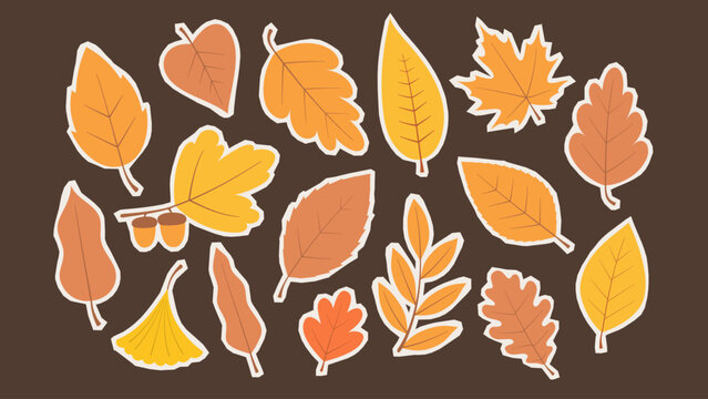 Autumn leaves styled as stickers with white outlines, ideal for seasonal decorations and scrapbooking projects