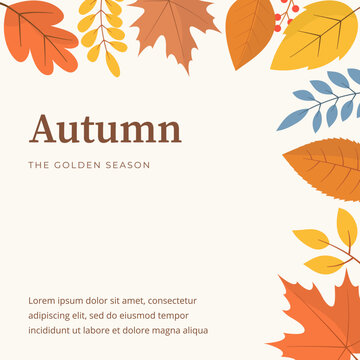 Autumn banner with fall leaves and berries border, copy space for text