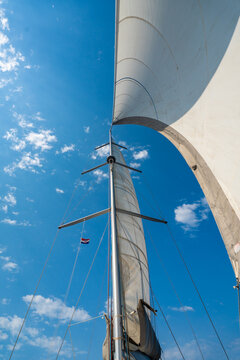 Curved white sail towering above a sailing yacht under a blue sky. Wind powered sailing and freedom on the open sea.