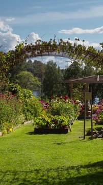 Blooming flower garden landscape with cloudscape time lapse. Vertical design in 9:16 ratio. Smartphone and social media ready.