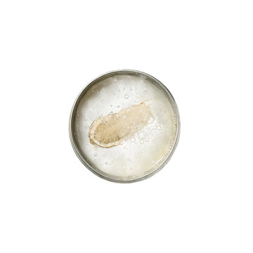 Panax ginseng root extract infused nourishing lip balm inside minimal metal tin isolated on transparent background