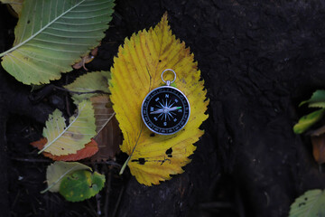Fototapeta premium A compas lying on the wood surrounded by autumn leaves