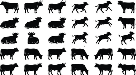 Obraz premium Set of black silhouette cows, bulls, and calves in various poses on white background