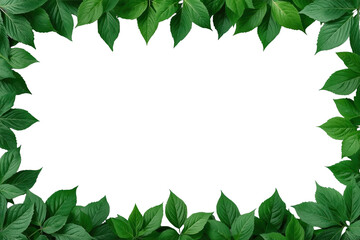 Fototapeta premium Rectangular Green Leaf Border Frame