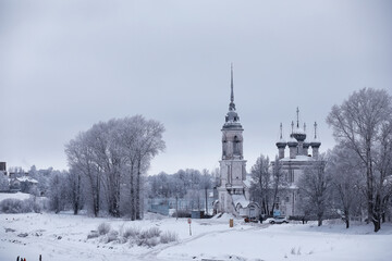 Fototapeta premium Winter forest landscape. Tall trees under snow cover. January frosty day in the park.