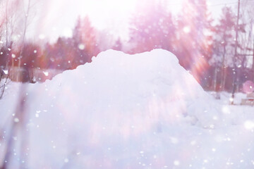 Fototapeta premium Tall trees under snow cover. January frosty day in winter park.