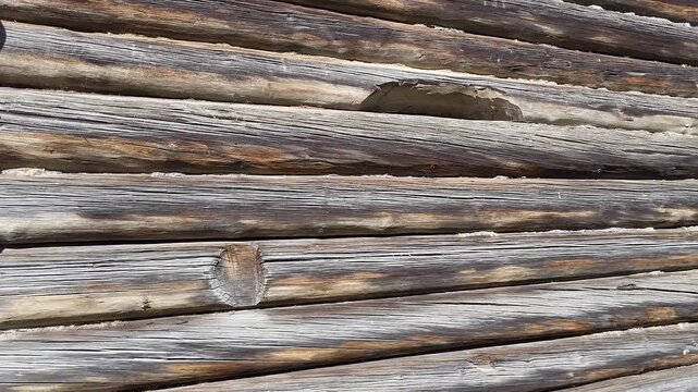 The wall of an old village house made of logs