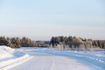 Fototapeta premium Winter snowy frosty landscape. The forest is covered with snow. Frost and fog in the park.
