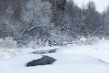Fototapeta premium Winter snowy frosty landscape. The forest is covered with snow. Frost and fog in the park.