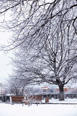 Fototapeta premium park bench on a winter alley at snowfall. bench with snow after snowstorm or in snow calamity in europe