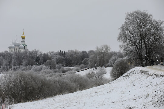 White snow on a bare tree branches on a frosty winter day, close up. Natural background. Selective botanical background.