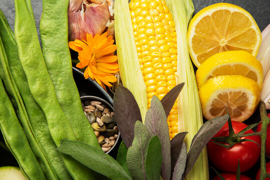Fresh raw vegetables and fruits.