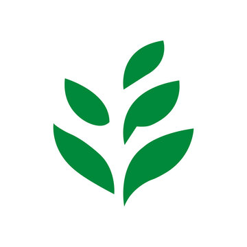 Green Leaf Icon and Leaves Vector Illustration for Eco Nature, Ecology, Organic Plant, Botanical, Environmental and Natural Design Collections