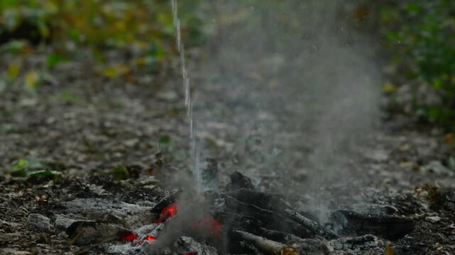 Extinguishing Campfire with Water in Forest Woods. Pouring water to extinguish a campfire safely in a green forest. Woods fire safety, putting out burning embers and smoking ash.