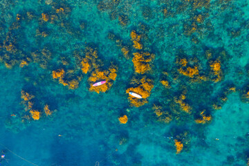 Fototapeta premium Aerial view of vibrant golden seaweed underwater with paddle boards in Nhon Hai, Binh Dinh province, Vietnam