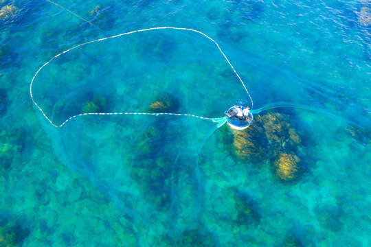 Aerial view of a fisherman casting a net from a basket boat over golden seaweed in Nhon Hai, Binh Dinh province, Vietnam