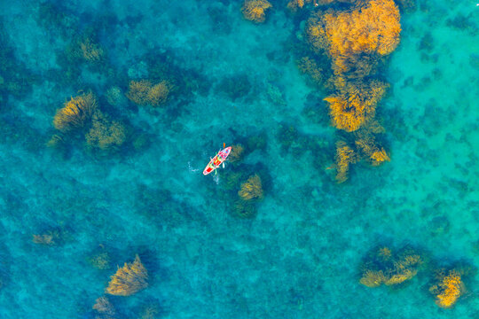 Aerial view of vibrant golden seaweed underwater with paddle boards in Nhon Hai, Binh Dinh province, Vietnam