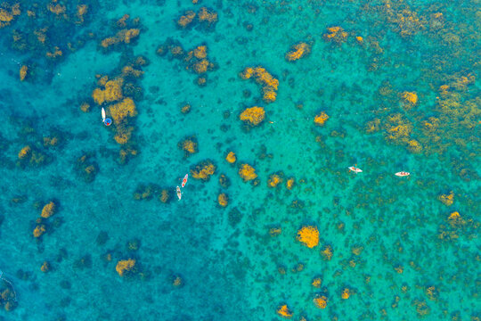 Aerial view of vibrant golden seaweed underwater with paddle boards in Nhon Hai, Binh Dinh province, Vietnam
