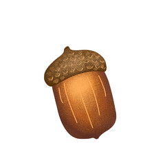 Brown oak acorn nut digital illustration isolated on transparent background © Intan