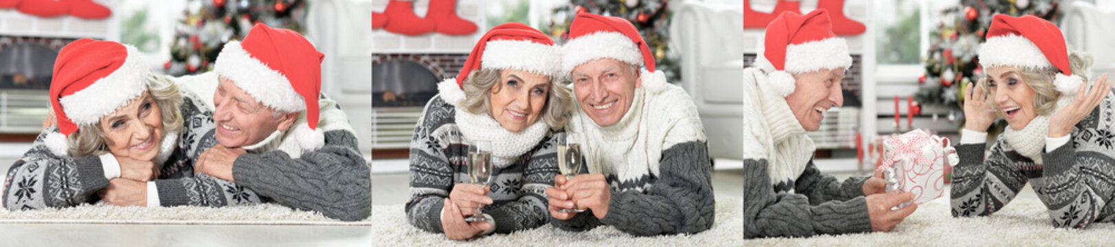 Happy senior couple in Santa hats toasting with champagne during Christmas