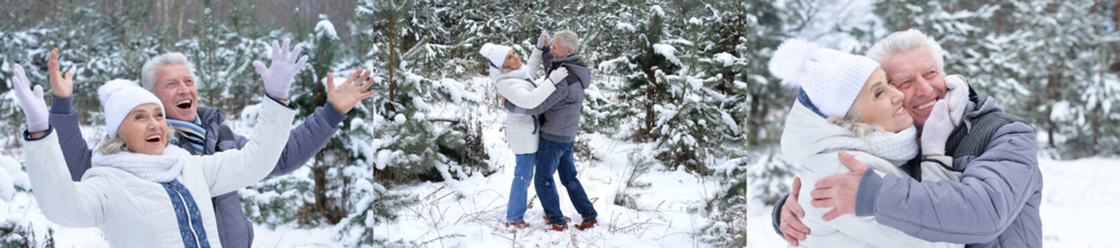 Happy elderly couple celebrating in snowy winter park