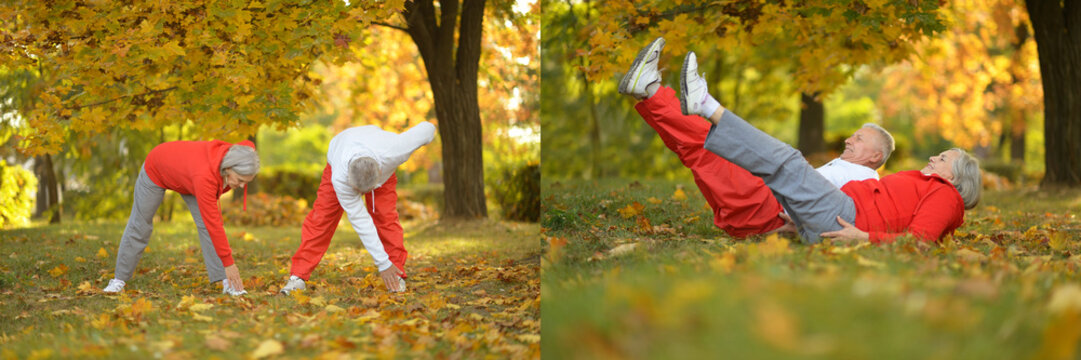 Active seniors doing stretching exercises in autumn park