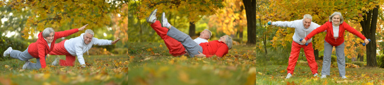 Active Seniors Doing Stretching Exercises in Autumn Park