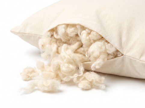 Natural wool filling spilling from a white pillow on a clean background.