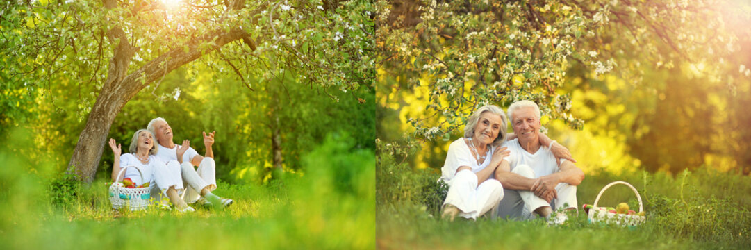 Happy elderly couple relaxing in spring garden with picnic baskets