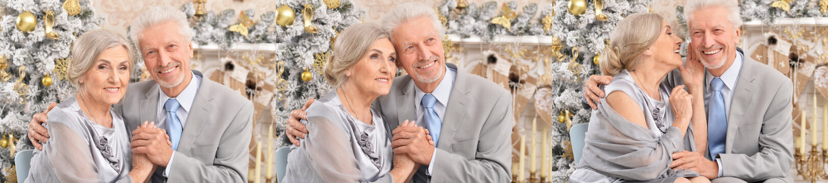 Happy Senior Couple Celebrating Christmas in Festive Winter Decor