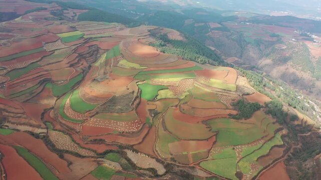 Aerial view of colorful terraced fields and red soil /red land in Dongchuan, Yunnan, China