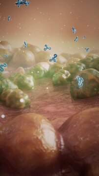 Cellular phagocytosis captures viruses and eliminates harmful cells. 