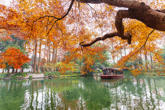 Traditional Chinese wooden boat floating on West Lake surrounded by golden autumn foliage in Hangzhou, China