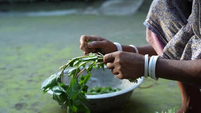 Close-up shot of hands preparing organic herbs and greens for traditional cooking in a village setting.