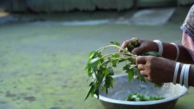 Close-up shot of hands preparing organic herbs and greens for traditional cooking in a village setting.