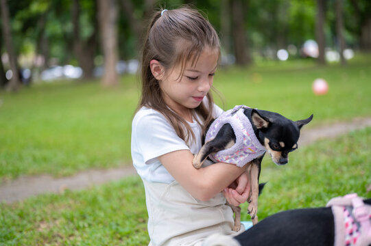 Young mixed race girl owner holding a small dog chihuahua while sitting on grass in the park