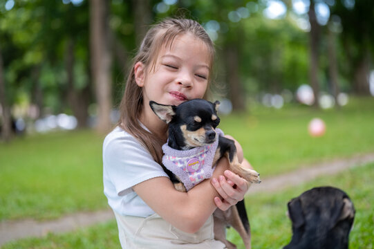 Young mixed race girl smiling while cuddling small dog chihuahua with another dog nearby in the park