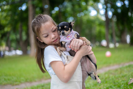 Young mixed race girl owner cuddling a small dog chihuahua while standing in the park.