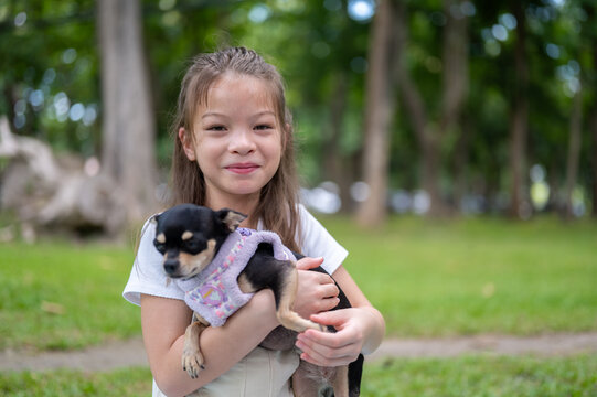 Young mixed race girl holding hugging a small dog chihuahua while posing outdoors in the park.