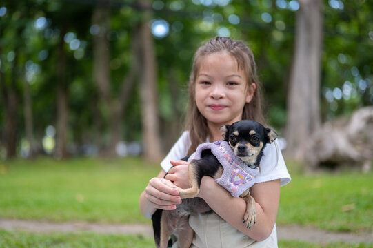 Young mixed race girl holding her small dog chihuahua while relaxing in the park.