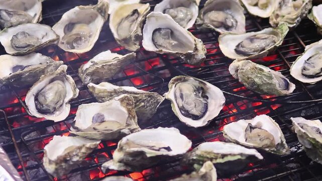 Grilled oysters on hot barbecue over glowing coals, street food cook preparing seafood close-up. Concept of outdoor cooking, local cuisine and popular street dining