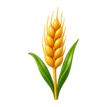 Golden wheat stalk with green leaves on a white background