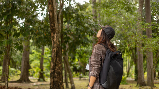 A person stands in a forest, looking up at the trees. The sun shines through the leaves. They wear a backpack and seem to enjoy the surroundings. It is daytime and the area is green