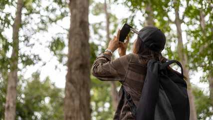 A person stands in a forest, looking up at tall trees. They hold a phone and appear focused on capturing a photo. The sun shines through the leaves above © Happy Photo
