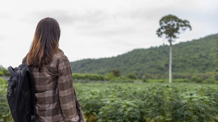 A person stands in a green field and looks at a tall tree on a hillside. The sky is cloudy, and the landscape is open. The scene shows nature and a calm environment © Happy Photo